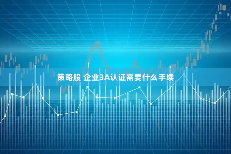 策略股 企业3A认证需要什么手续