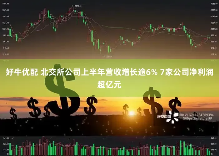 好牛优配 北交所公司上半年营收增长逾6% 7家公司净利润超亿元